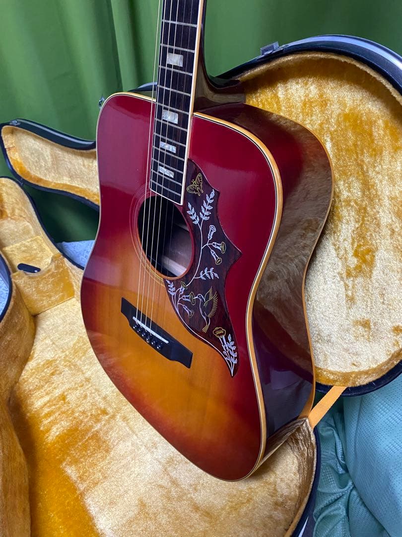 新春特価 Greco ハミングバード エレアコ フジゲン製 - メルカリ