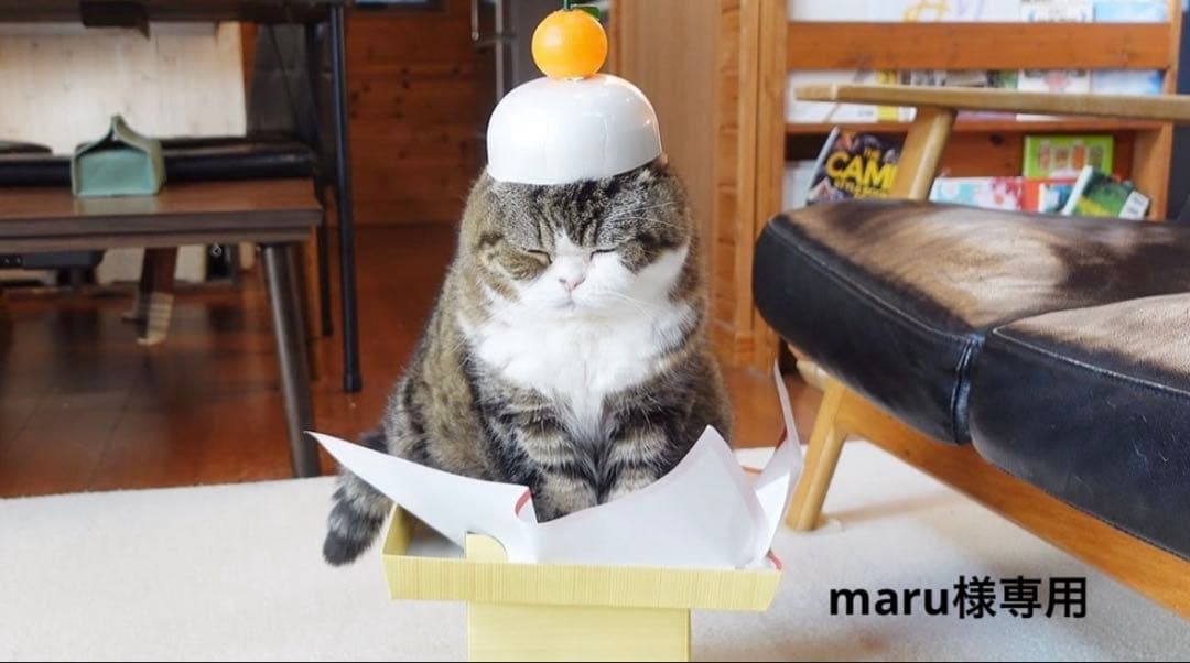 maruページ IJA Akitsu Maru Model Hobby 0021