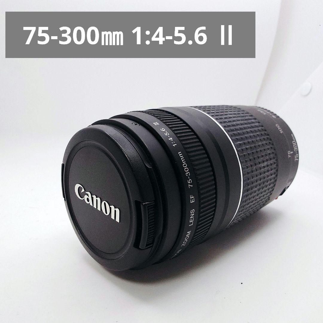 デジタル一眼レフカメラ/Canon EF 75-300㎜ 1:4-5.6 Ⅱ