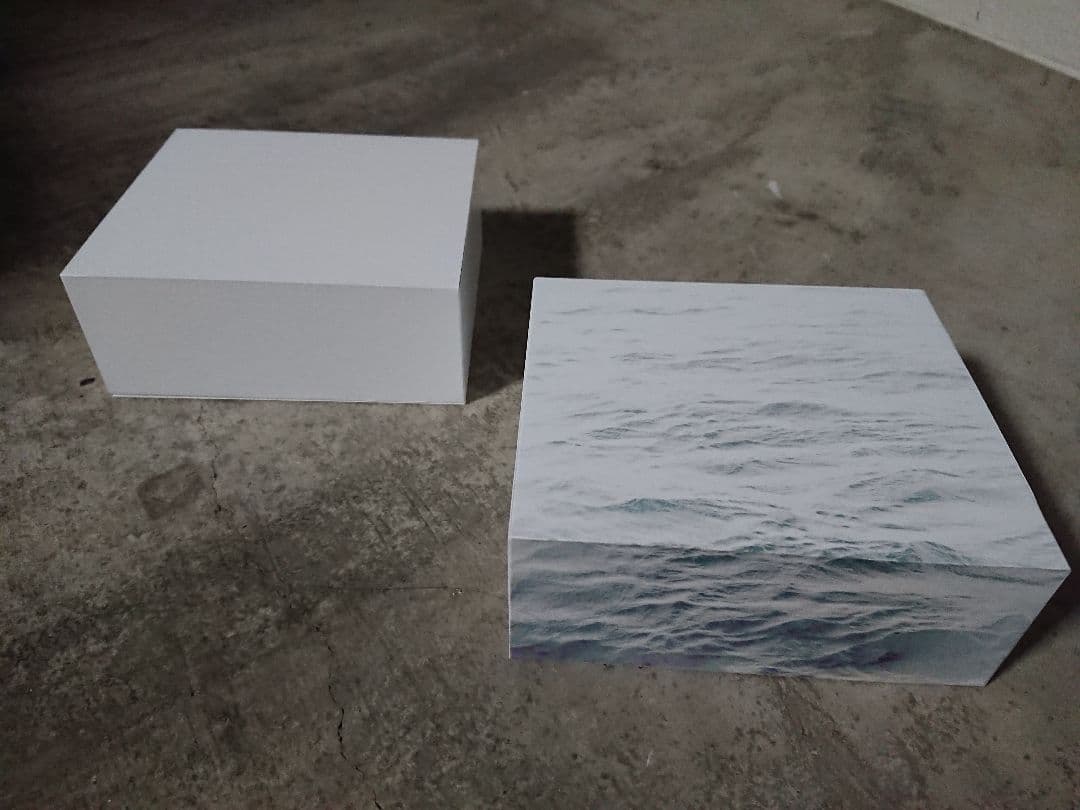 おまけ付！サカナクション 概念盤プレミアムBLOCK - メルカリ