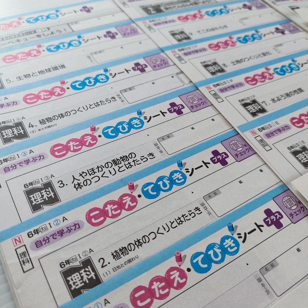 カラーテスト 6年 小6 小学生 理科 テスト 答え 大日本図書 - メルカリ