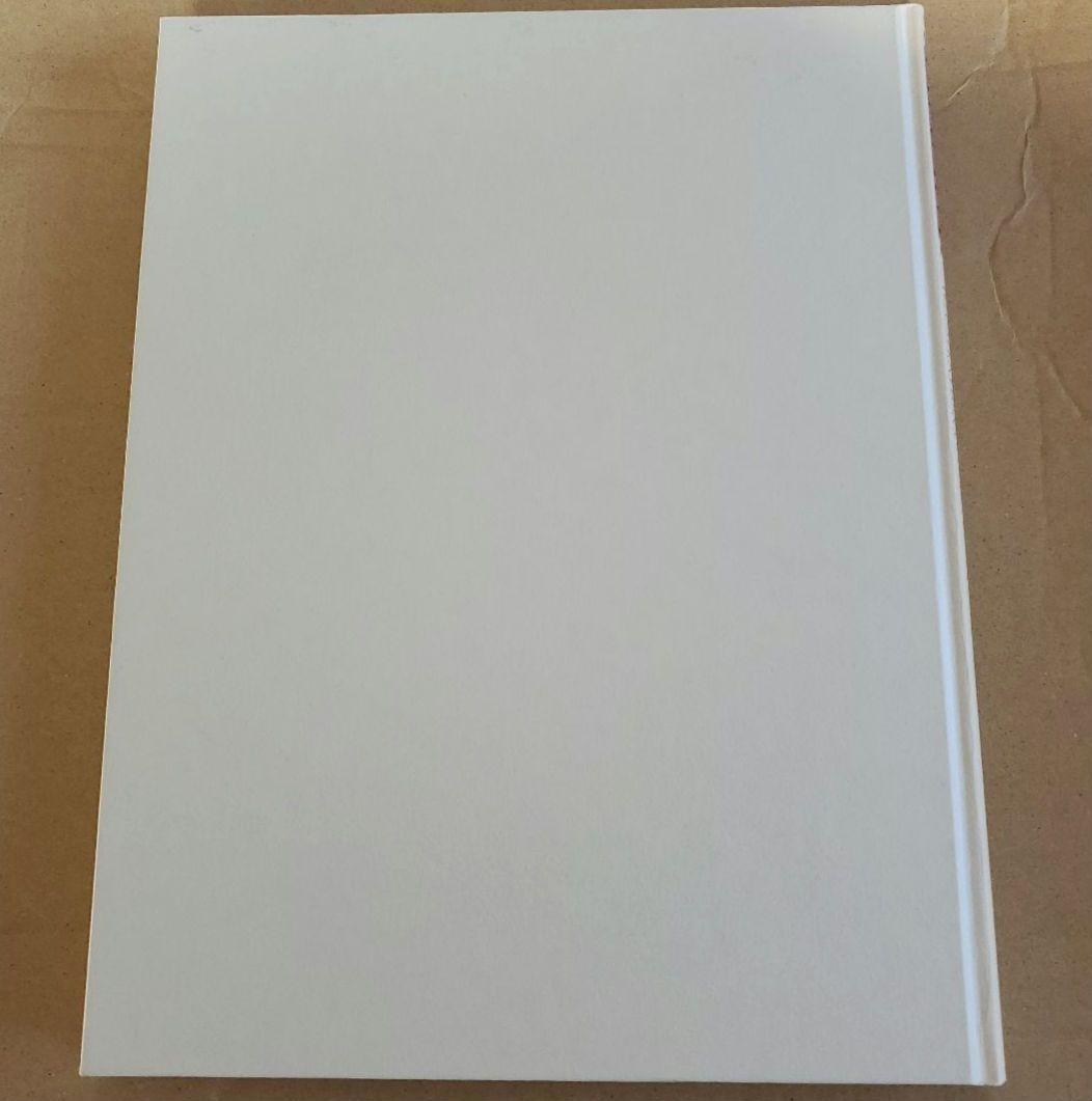 ANAM 魂 ロードス島戦記画集 RECORD OF LODOSS WAR - メルカリ