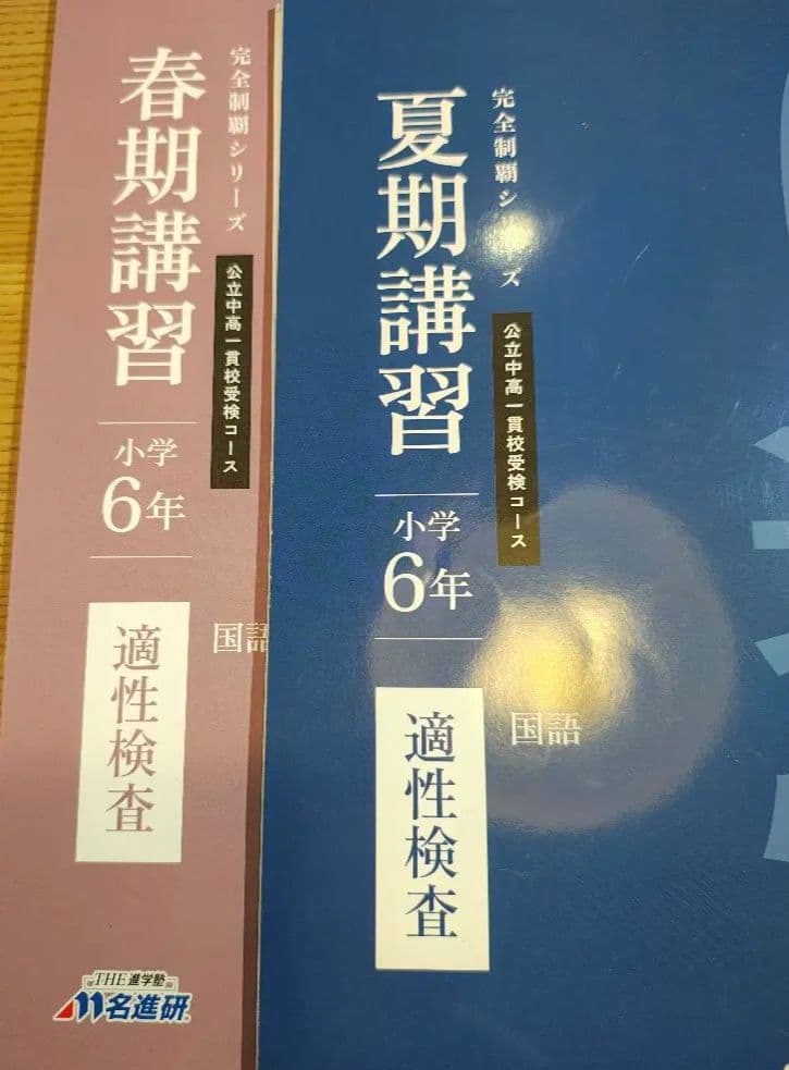 名進研　完全制覇シリーズ適性検査 小学6年 教材