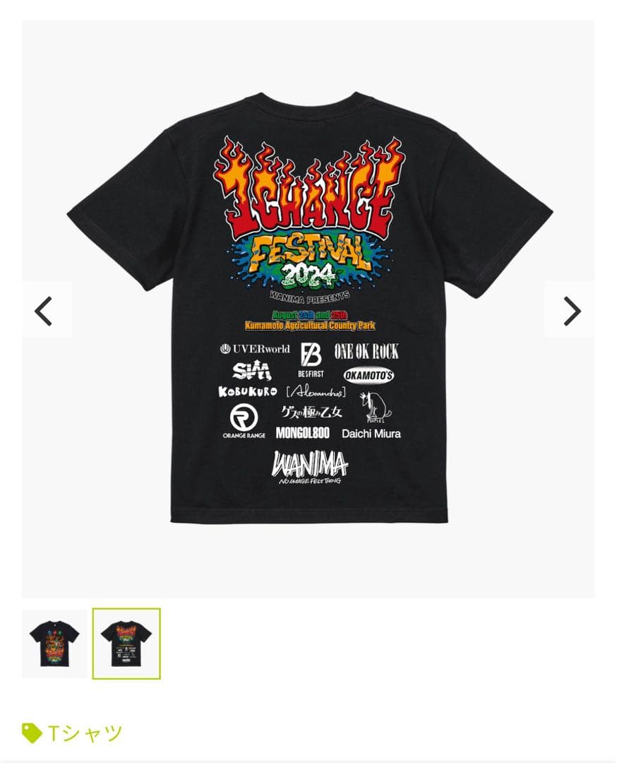 WANIMA ワンチャンフェス 2024 Tシャツ - メルカリ