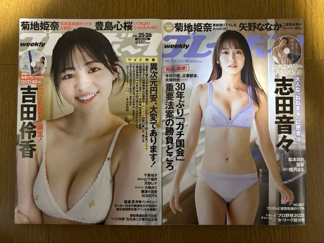 【菊地姫奈さん永久保存版】週刊プレイボーイ9冊組コンプリートBOX新品未読品