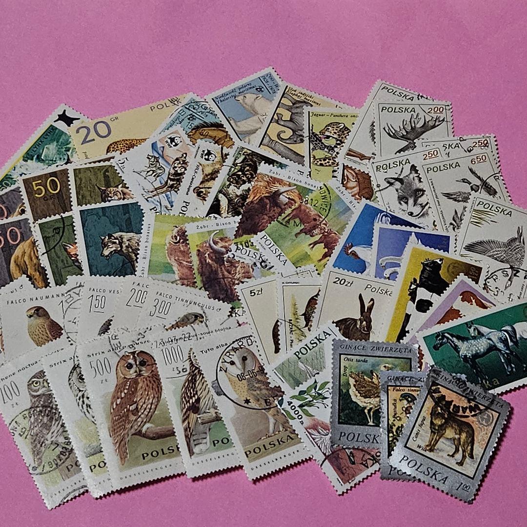 ポーランド 使用済切手 動物・鳥類 セット 50枚 - メルカリ