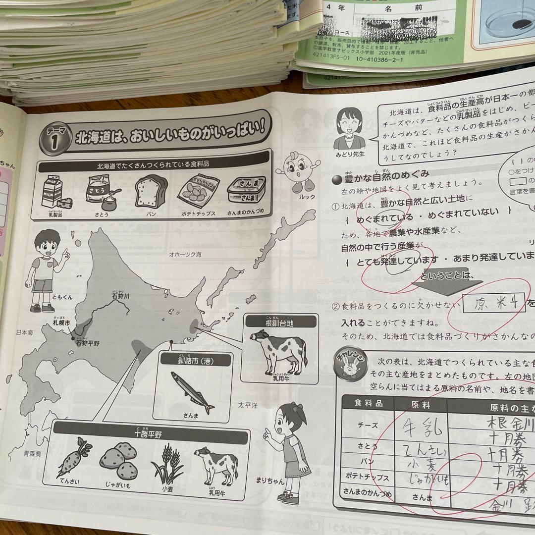 サピックスSAPIX 小学4年 社会 テキスト1年分 - メルカリ