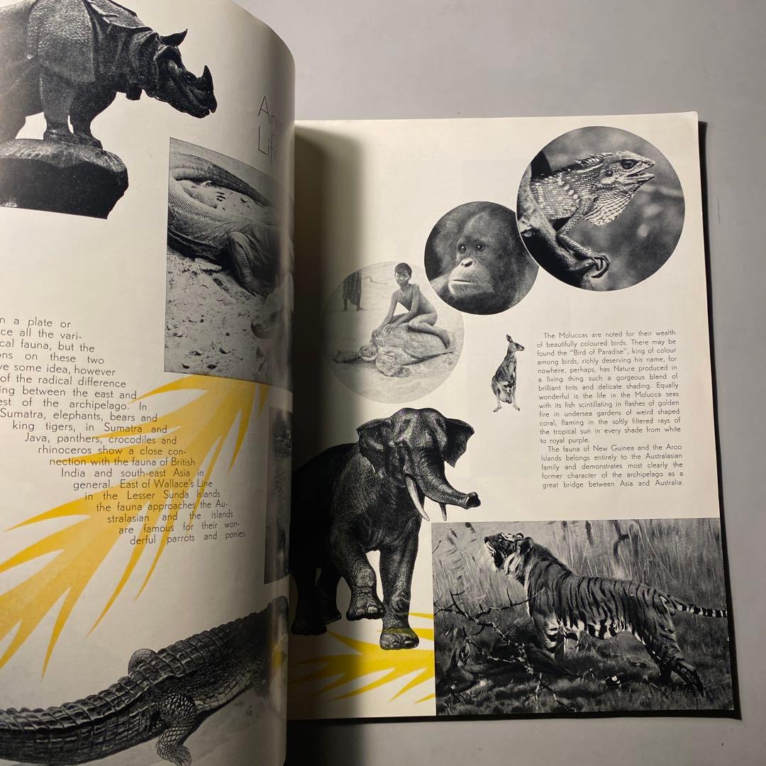 ビンテージ】1933 The Netherland Indies豪華パンフ