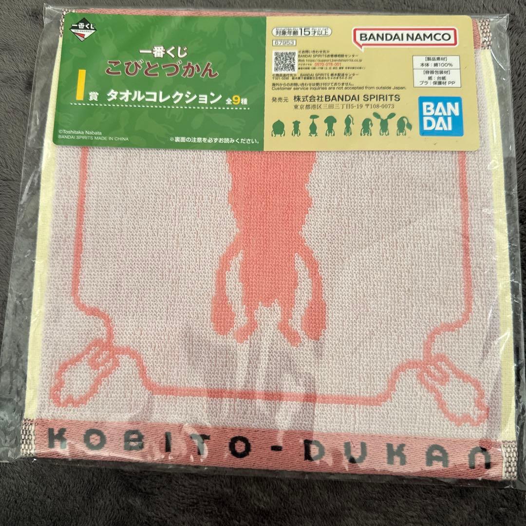 【値下げ交渉◎】こびとづかん 豪華セット