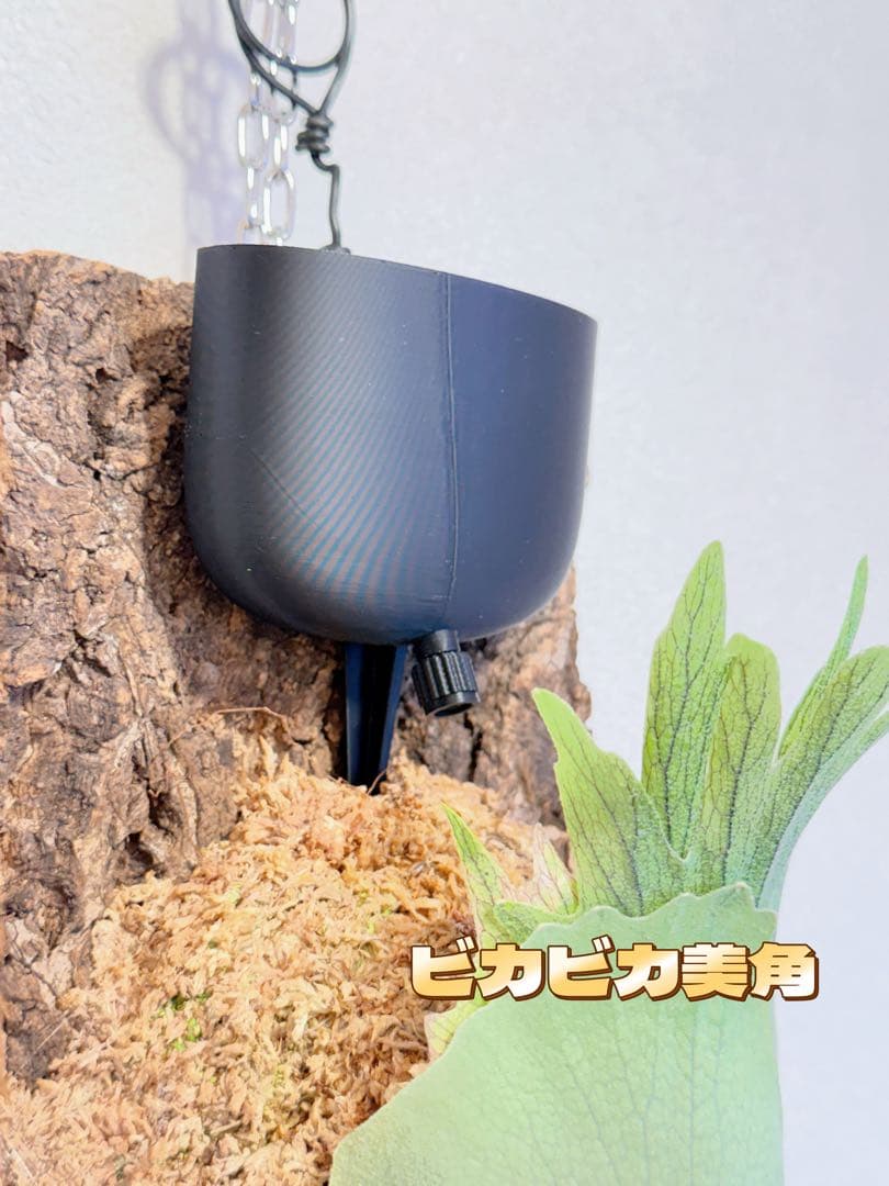 plants.b様専用 板付けビカクシダ専用 ドリップ式給水器 改良版3個