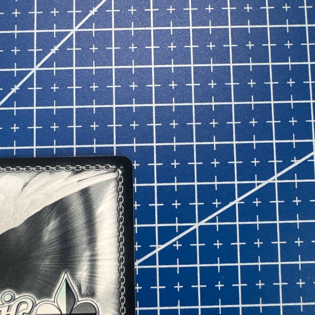 ヴァイス　純粋な瞳 ウェンディ pr+　494