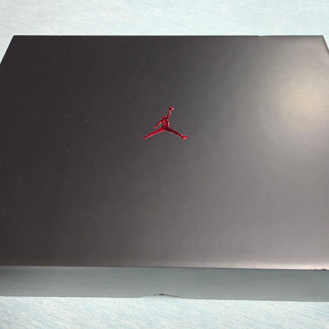 W*S様 【新品】AIR JORDAN 40 CHICAGO 28.5cm