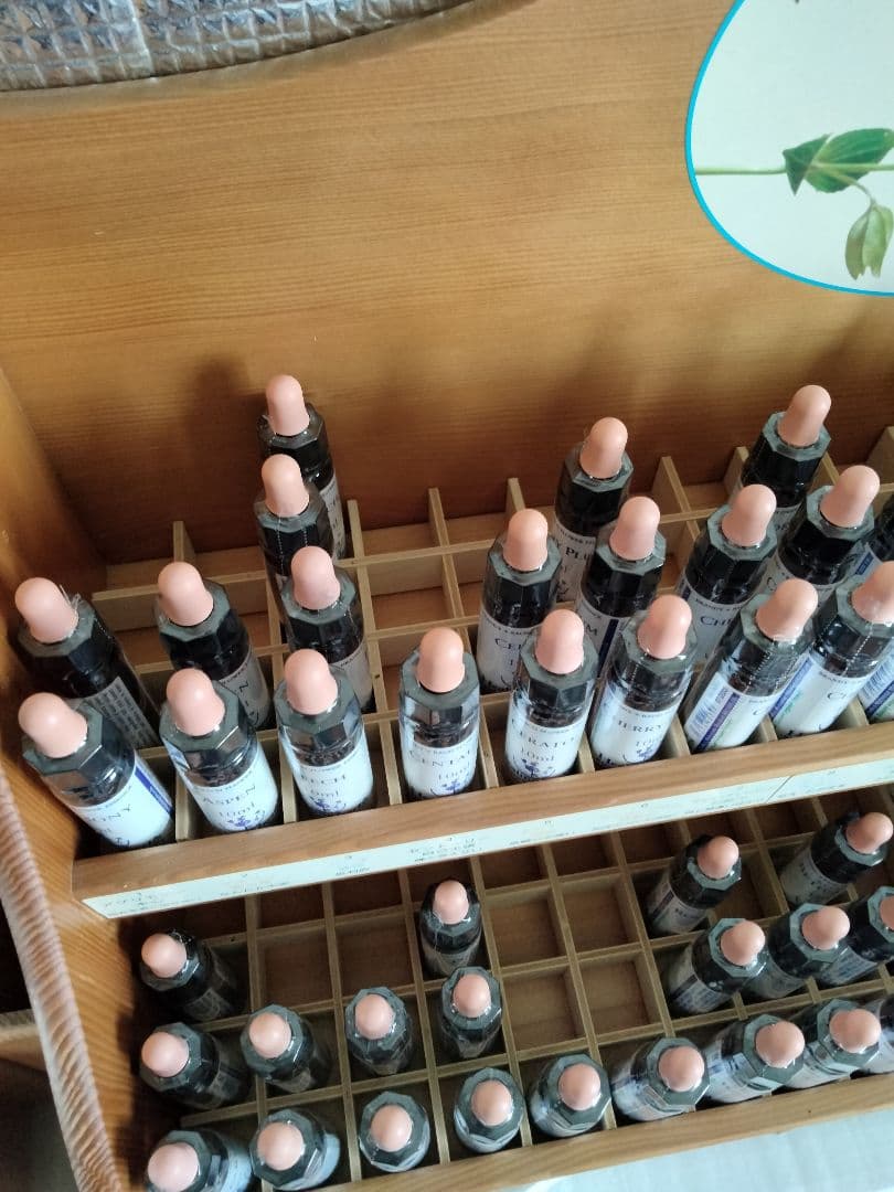 mattya様 クラブアップル エルム ゲンチアナ ミムラス マスタード