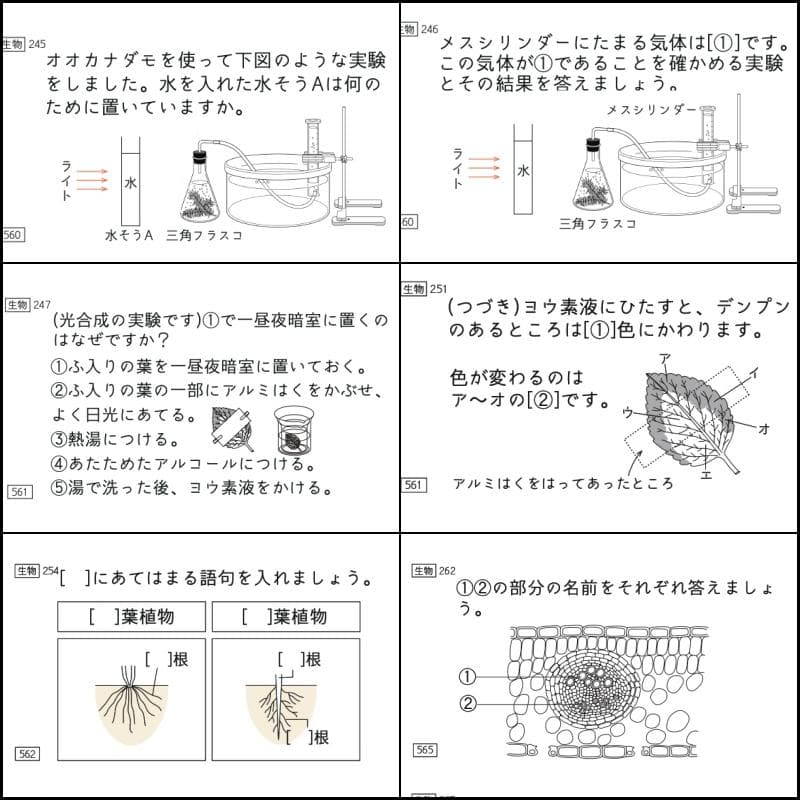 理科3点セット 暗記カード 中学受験 サピックス コアプラス 予習シリーズ