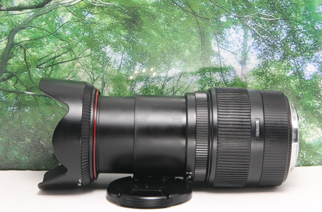 ❤手ぶれ補正して遠くも近くも撮れる☆シグマ 18-200mm DC キャノン