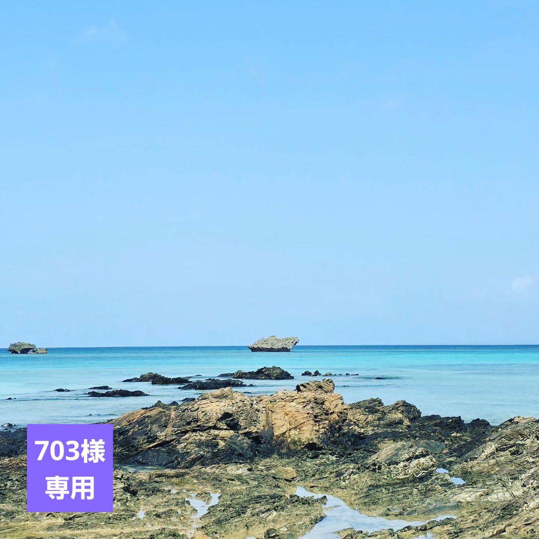 新品未使用】アマトラメゾフォルテヘアバスS335mlヘア&スパマスクS225g