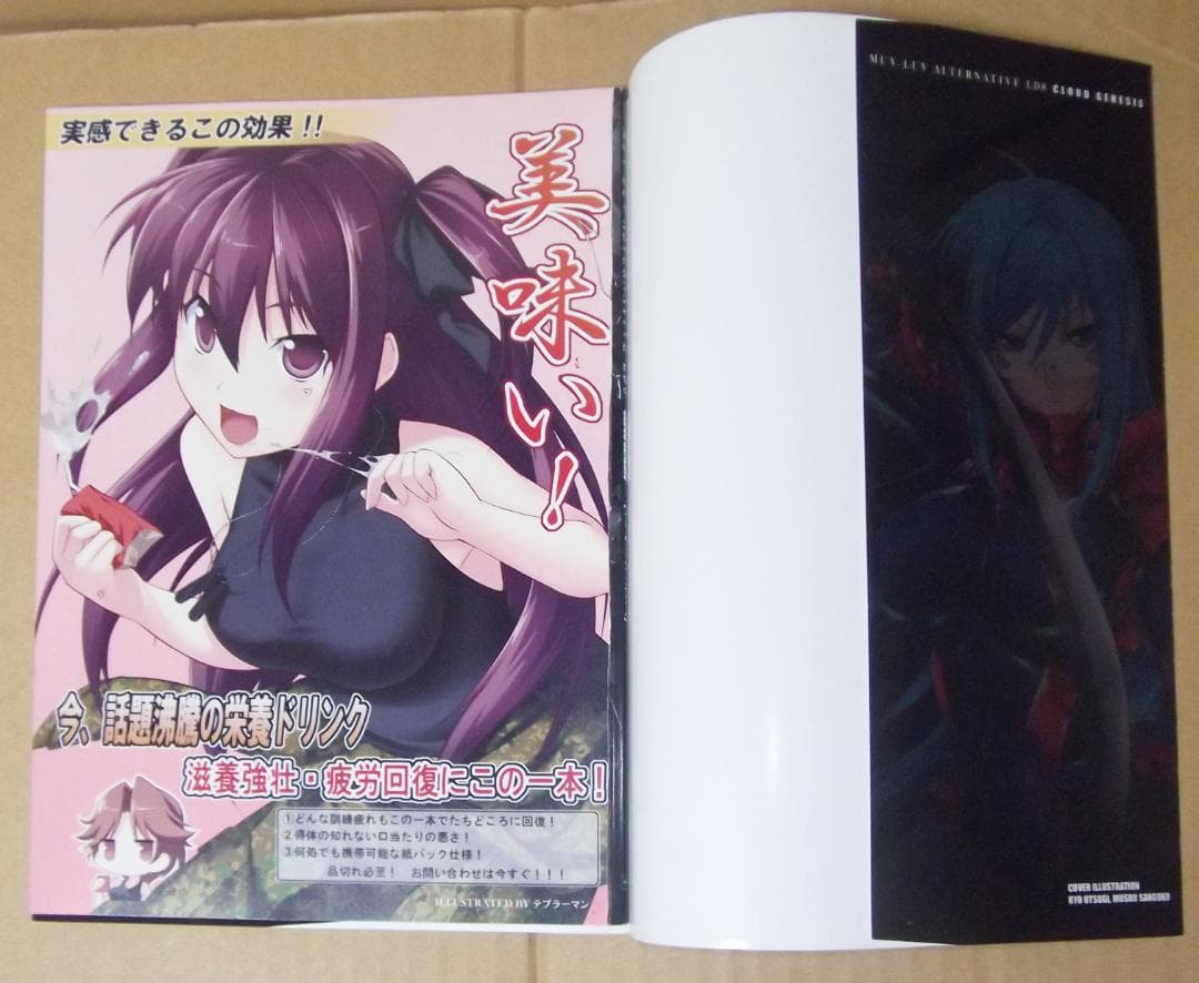 最終値下げ マブラヴ・オルタネイティヴ LD8 クラウドジェネシス 欠落