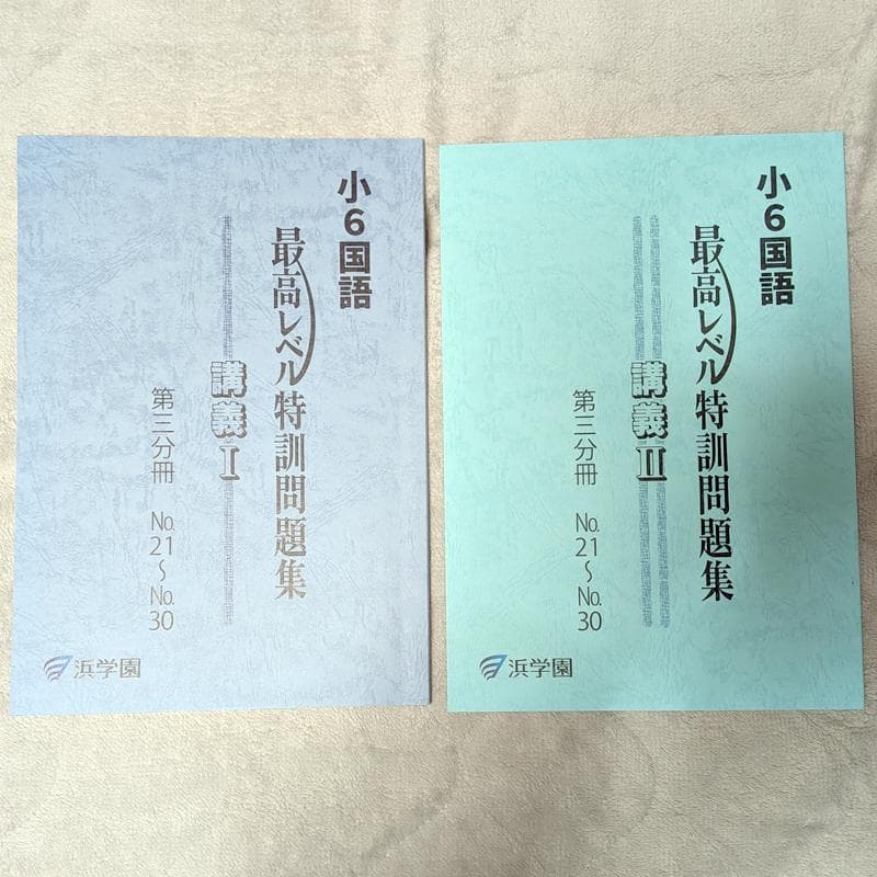 浜学園2025年度小6国語 最高レベル特訓第3分冊&パズル集 - メルカリ