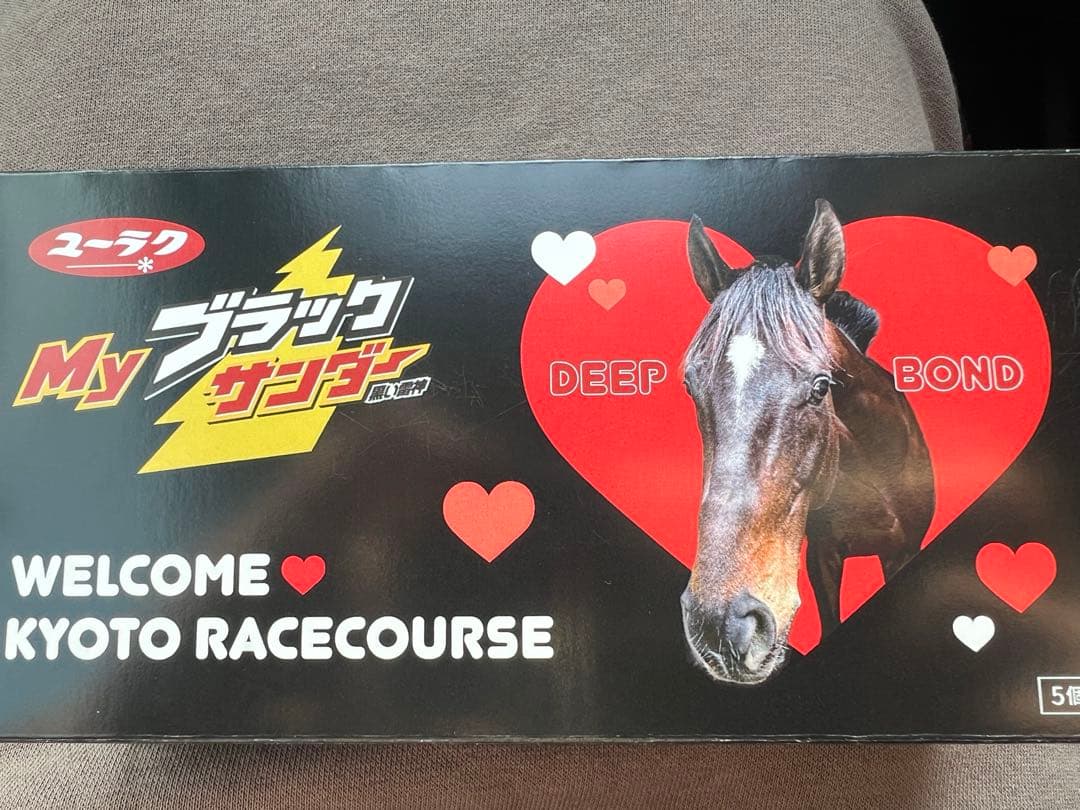 JRA ウェルカムチャンス ディープポンドデザイン ブラックサンダー5個