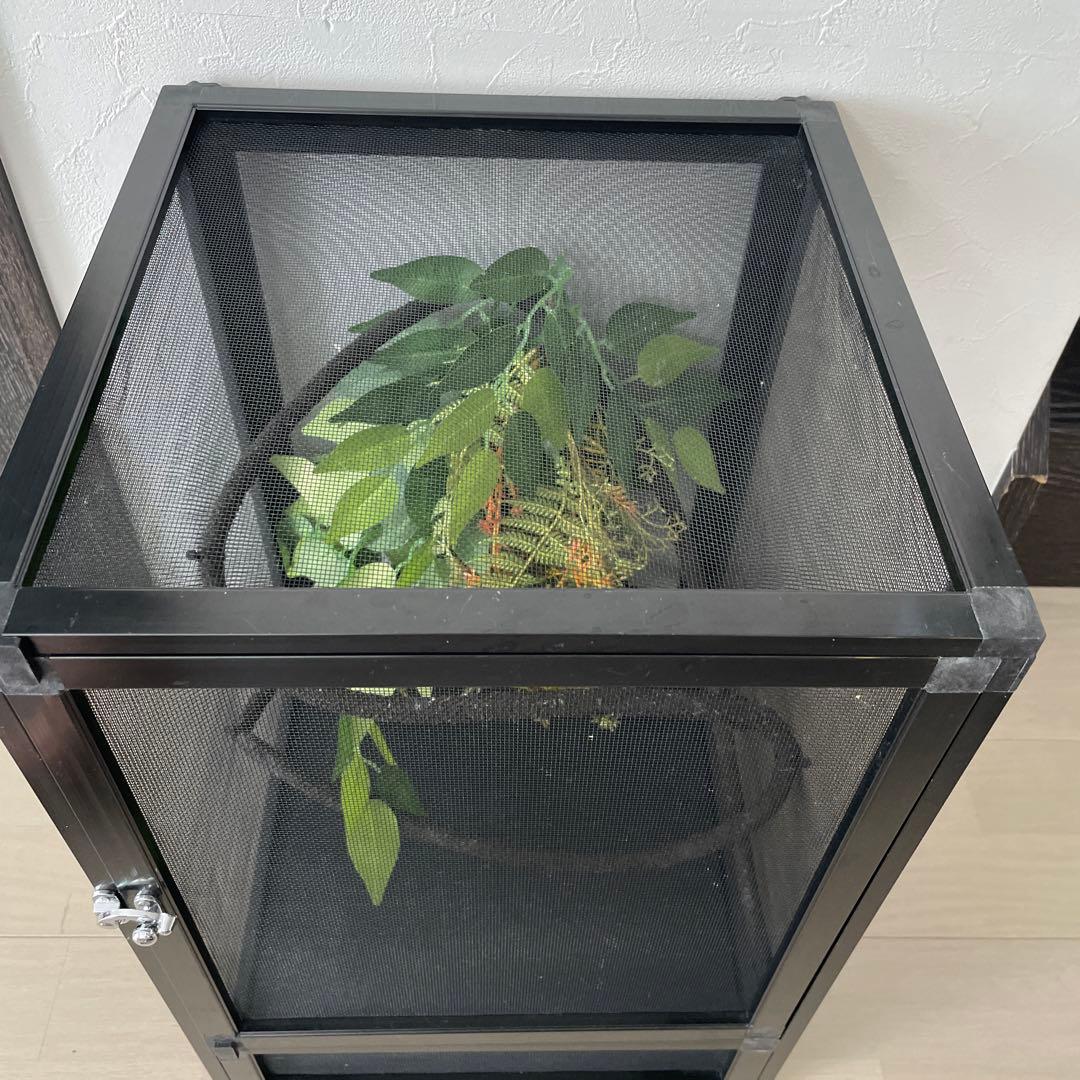 カメレオン 飼育 メッシュ ケージ 爬虫類 レイアウト 32×32×46cm