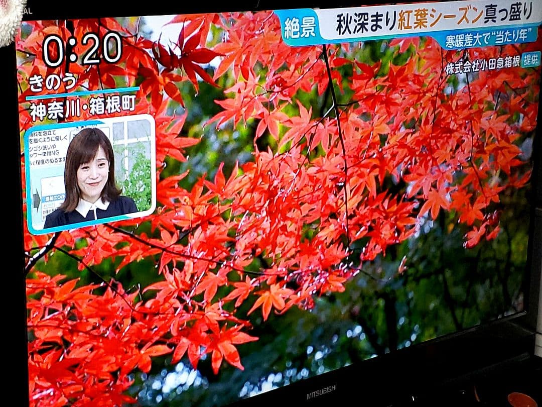 ❤️三菱ハイビジョンテレビ❤️40インチ❤️ブルーレイディスク