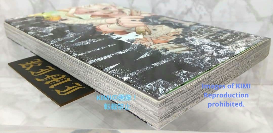 希少 初版 Dr.STONE 1 コミック 2017 Boichi,稲垣 理一郎 - メルカリ