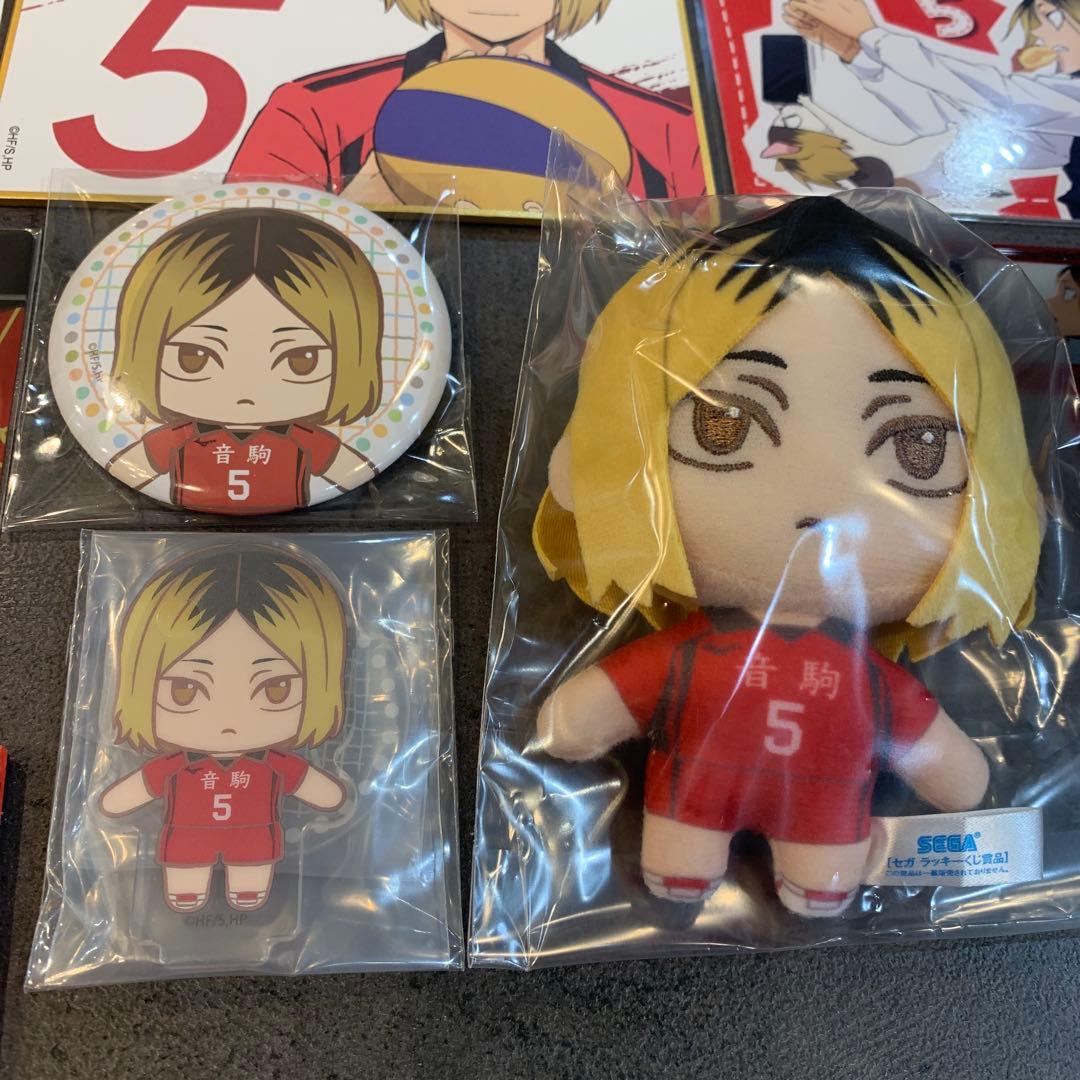 新品 ハイキュー！！ 孤爪研磨 グッズセット ぬいぐるみ 缶バッジ