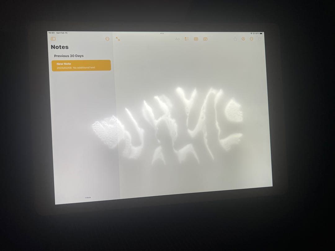 iPad本体 iPad Pro(12.9inch)256GB