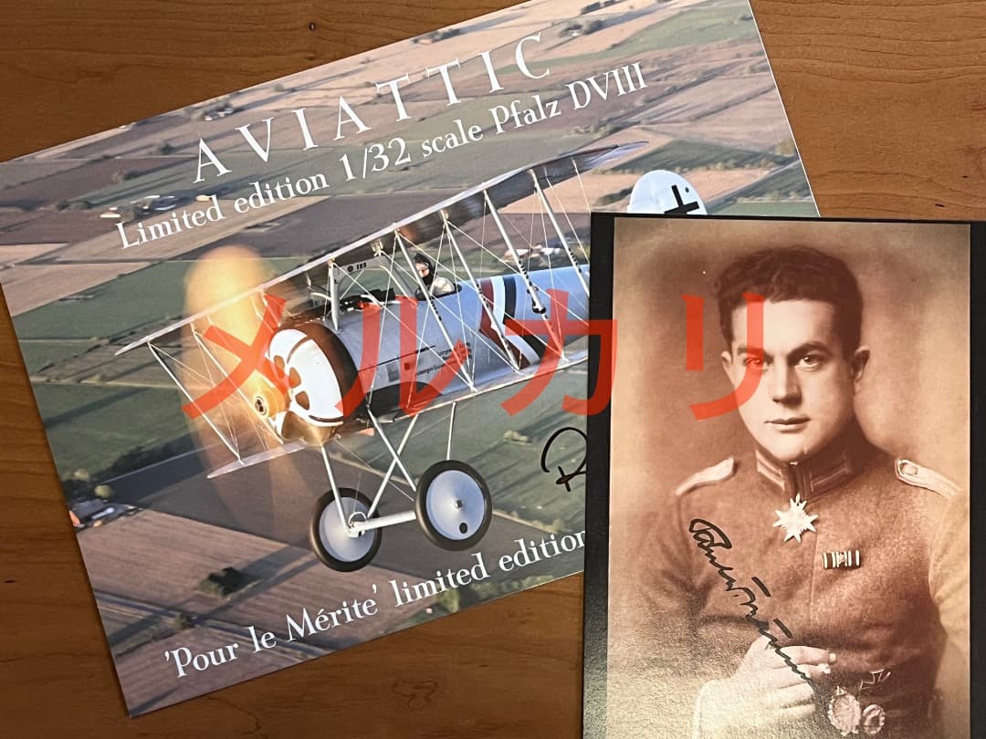 値下げ AVIATTIC 1/32限定キットファルツPFALZ DVIII戦闘機 - メルカリ