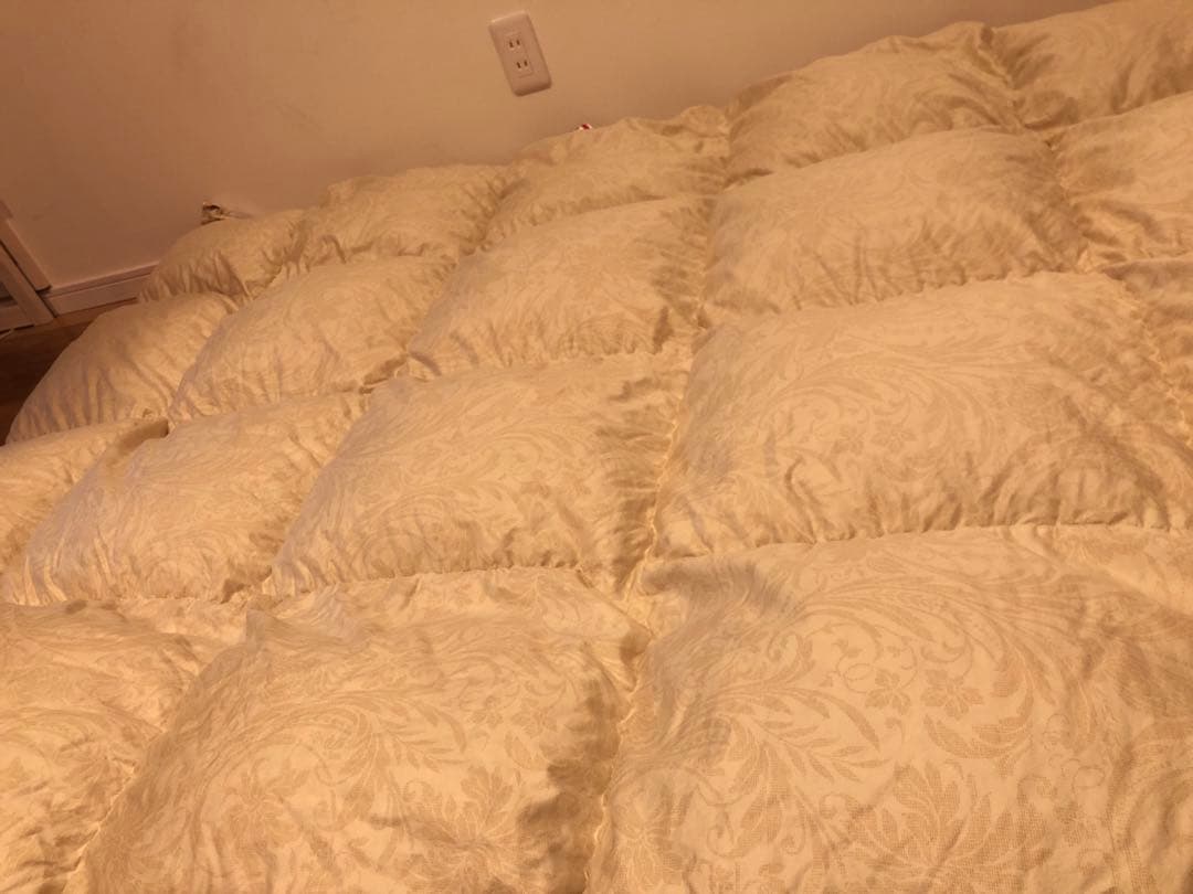 東京西川 超長綿100% フランス産マザーグースダウン93% 1.2k 一層