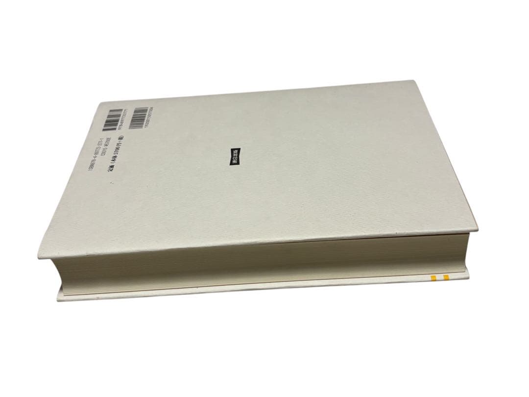 ぺ*？様 根本説一切有部律薬事　初版