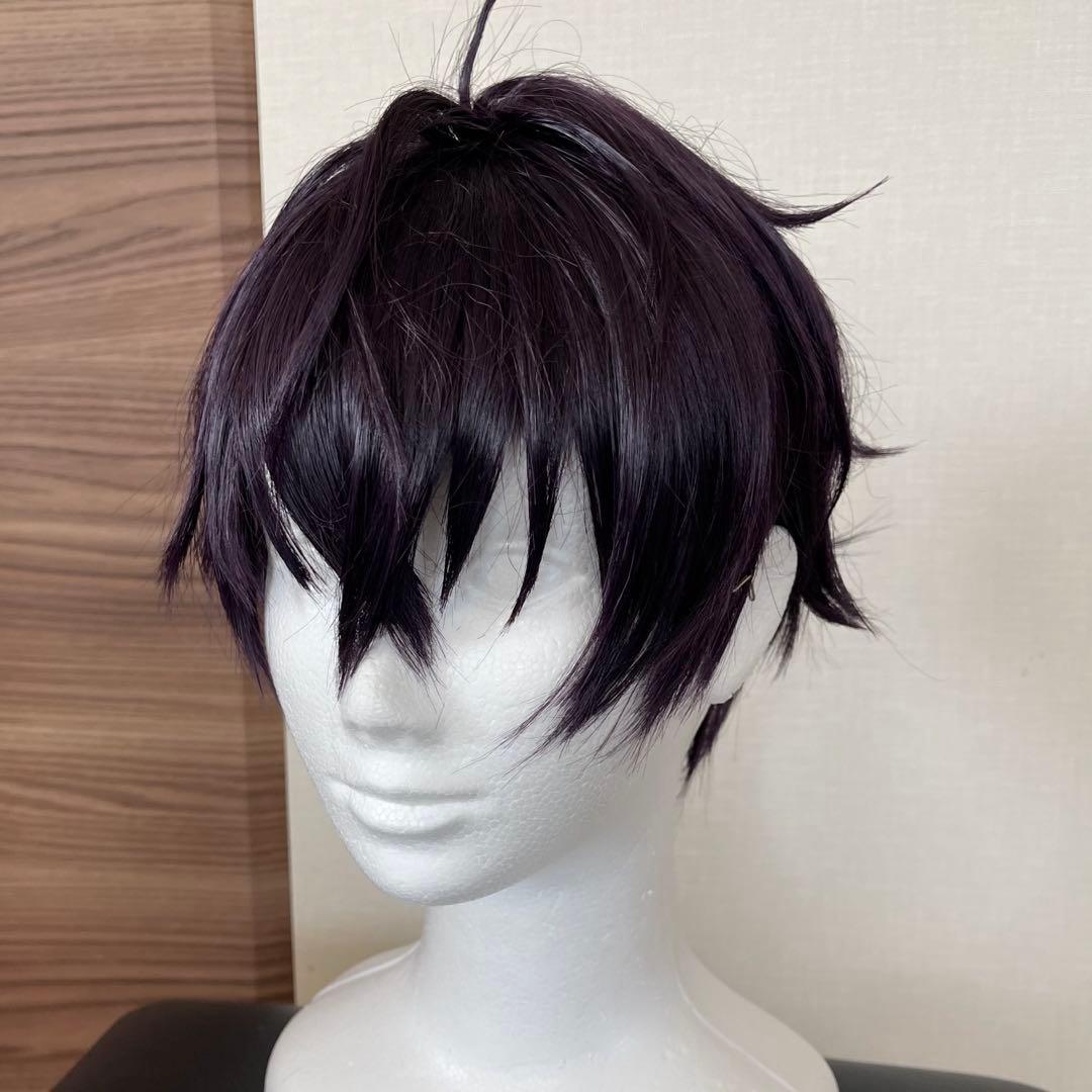 佐伯イッテツ コスプレ ウィッグ - メルカリ