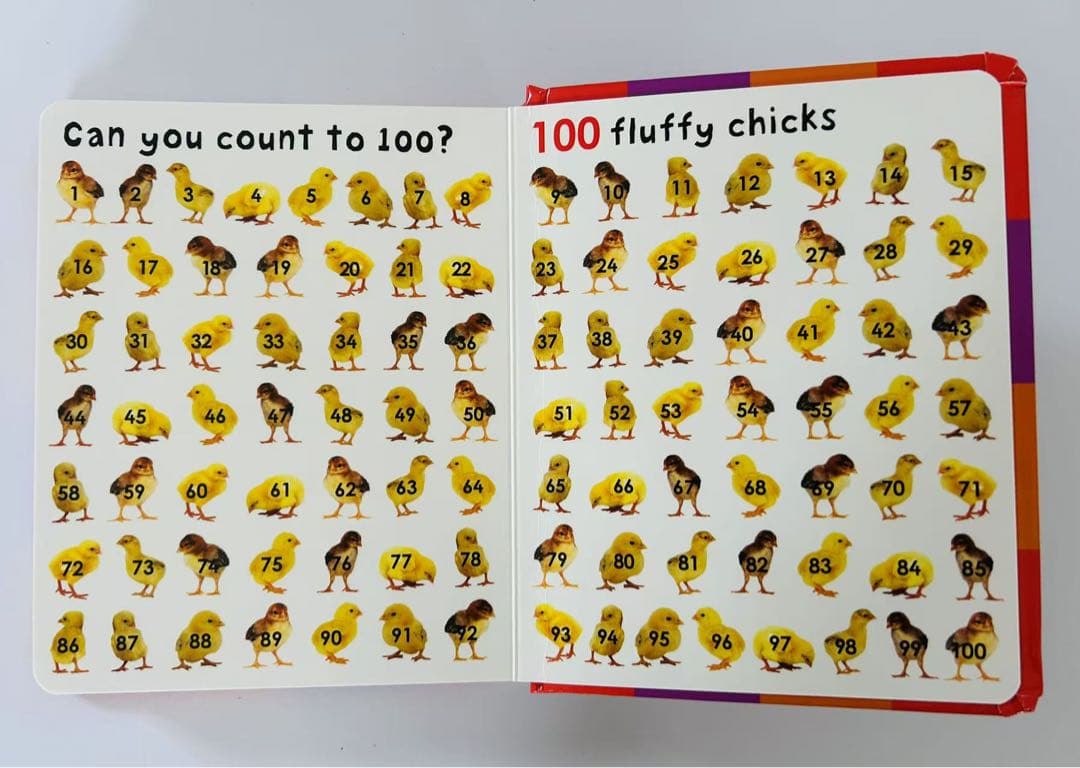 新品未使用】First 100 Numbers 洋書 英語版 絵本 - メルカリ