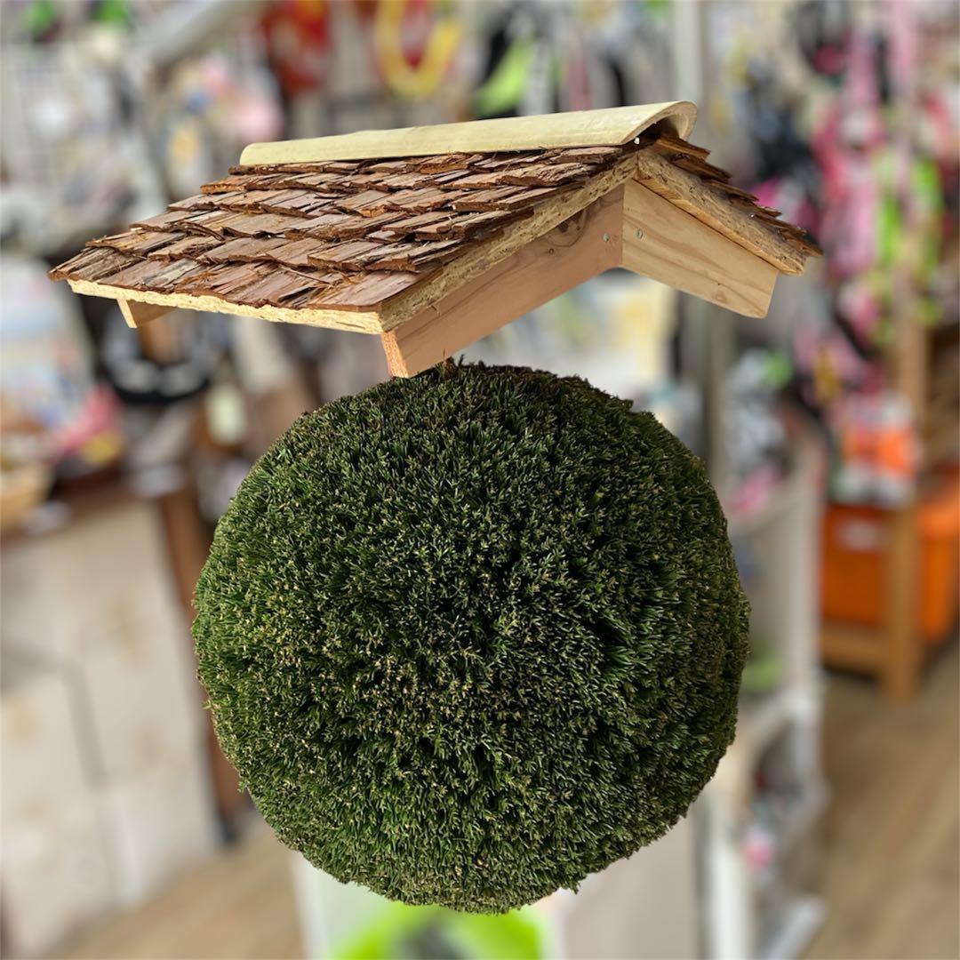 杉玉【屋根付き】⑤ - メルカリ