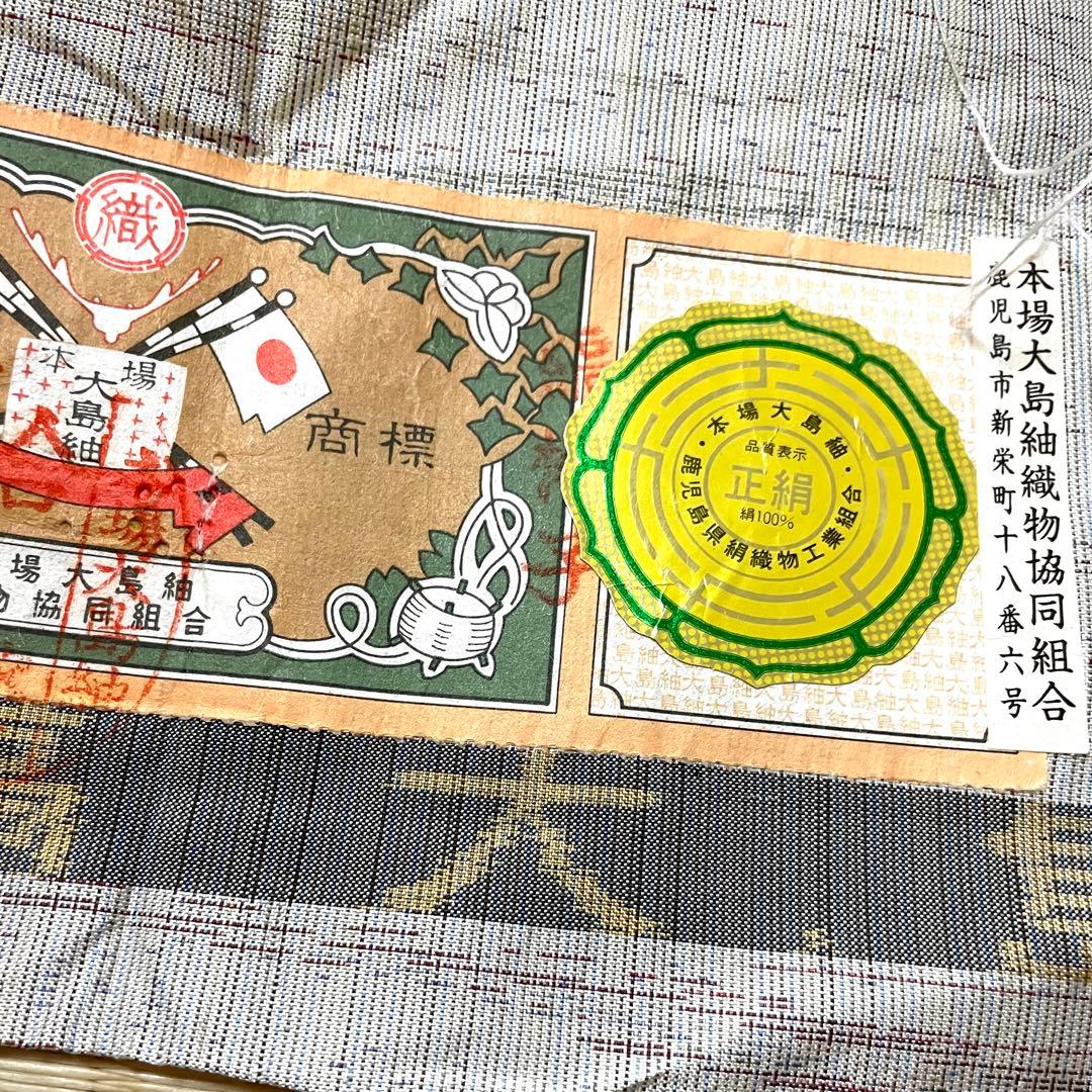 草木染 残糸織 白大島 証紙 身幅広め