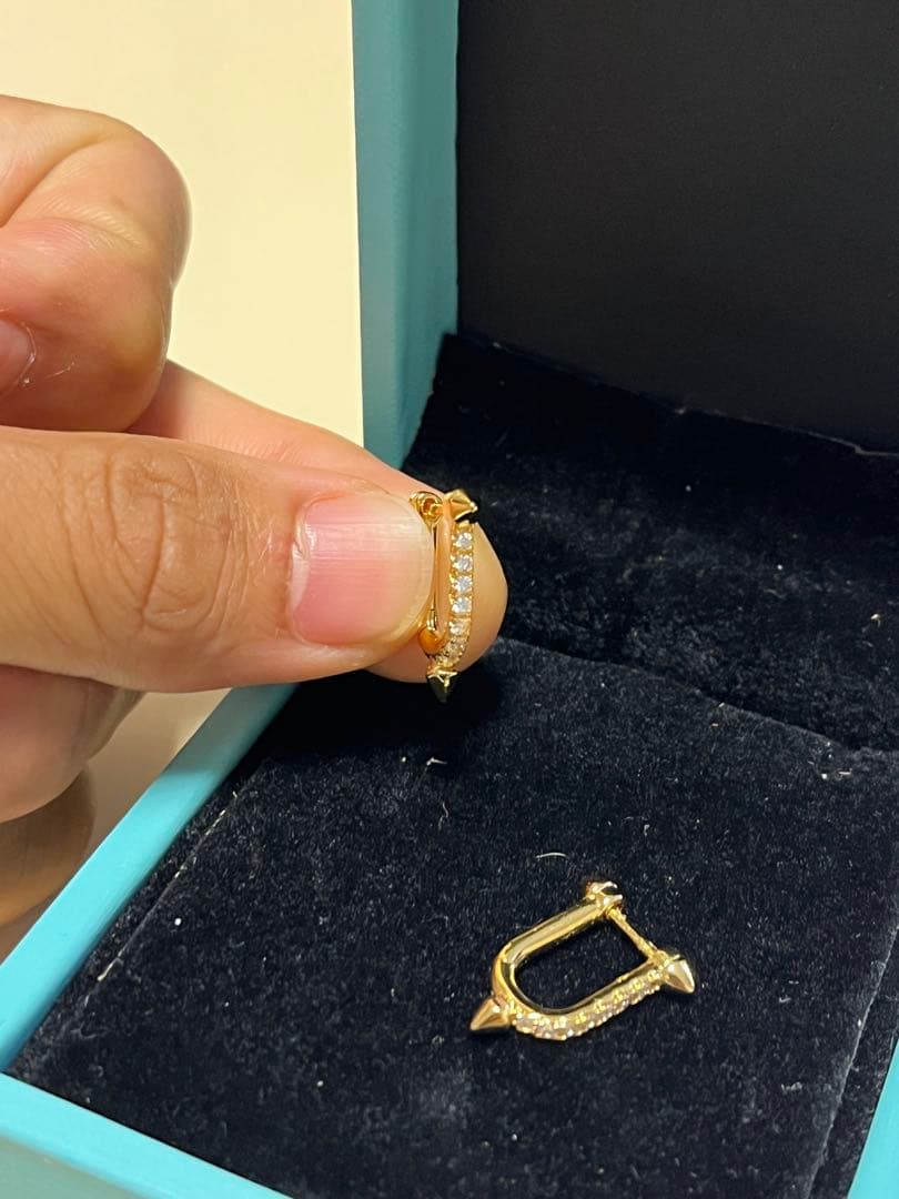 登坂広臣着用Tiffanyタイタンピアス