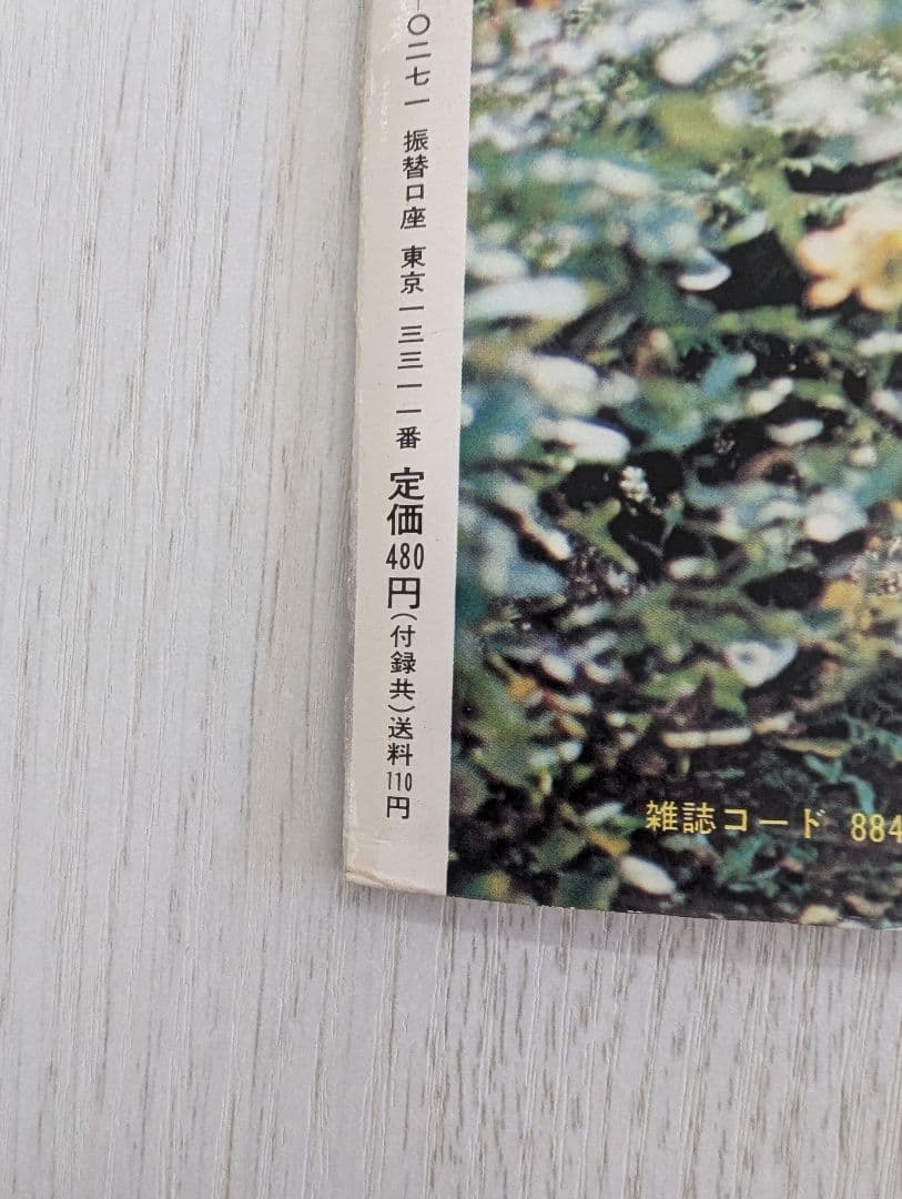 【天地真理】1973『 ヤングアイドルナウ VOL.2 晩秋号』中古品※特典付