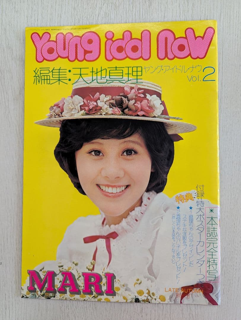 【天地真理】1973『 ヤングアイドルナウ VOL.2 晩秋号』中古品※特典付
