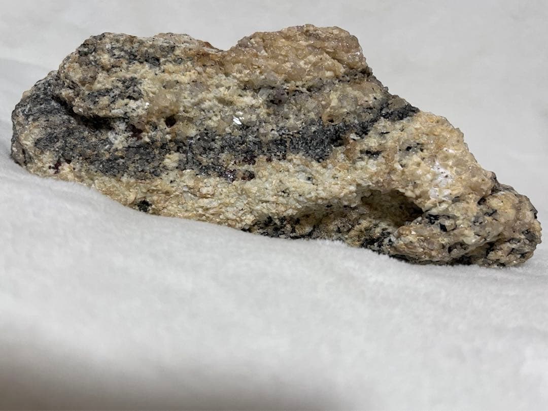 南極の石（約60年前のもの） - メルカリ