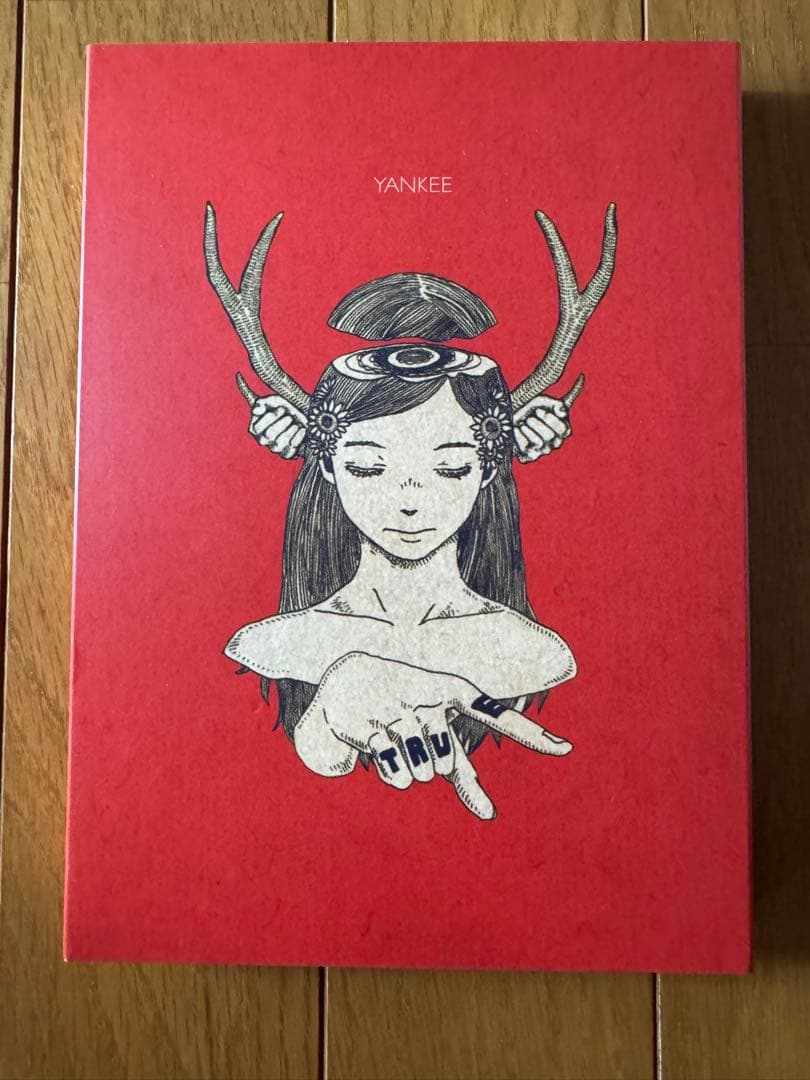 米津玄師 YANKEE 初回限定盤 画集盤 Amazon.co.jp: 米津玄師 YANKEE 画集盤 初回盤 初回盤 : パソコン