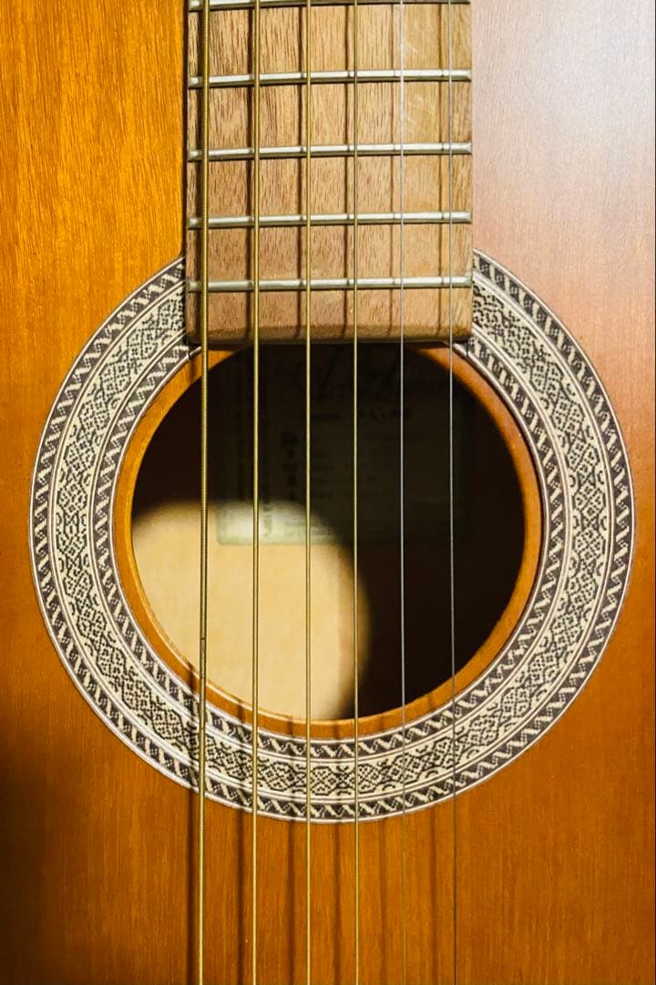 特典追加！Art & Lutherie gibsonストラップ付