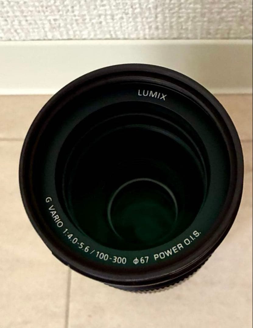 レンズ(ズーム) LUMIX G VARIO 100-300mm F4.0-5.6 II