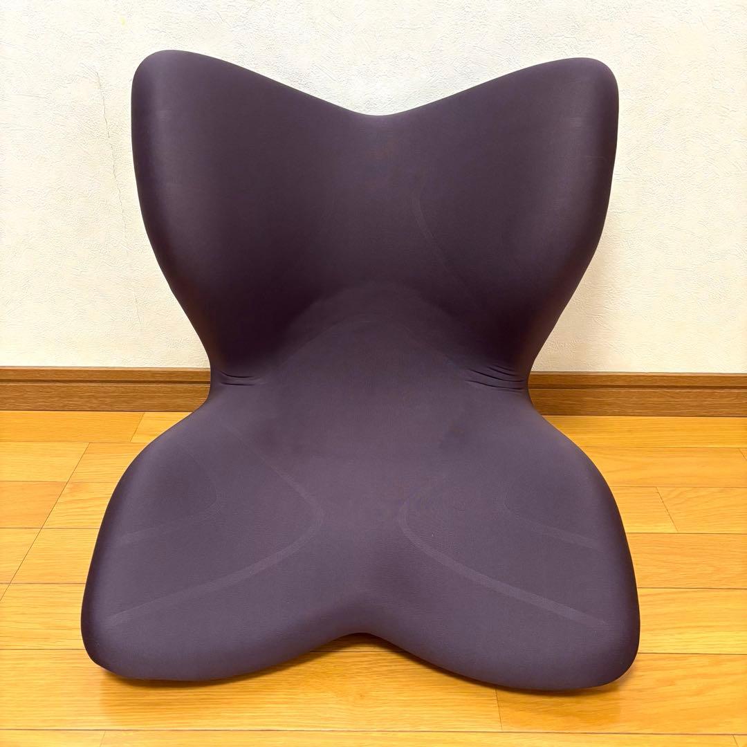 ⭐︎美品⭐︎MTG STYLE プレミアム　ブラウン Style（スタイル） スタイルプレミアム ブラウン | Amingオンライン