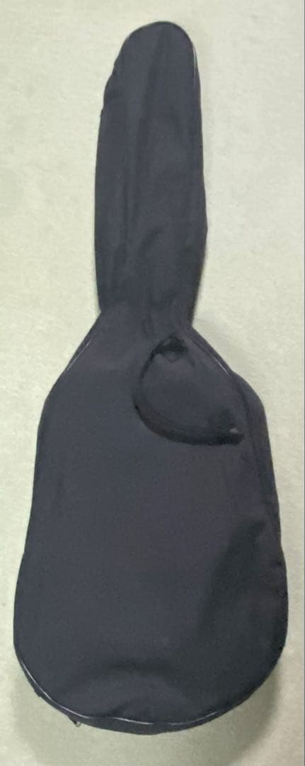 値下げ】Epiphone EL-00 ギター（ケース・スタンドもセット） - ギター