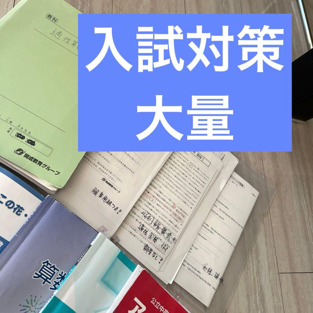 咲くやこの花中学校 水都国際中学校 適性 テキスト プリント 入試対策
