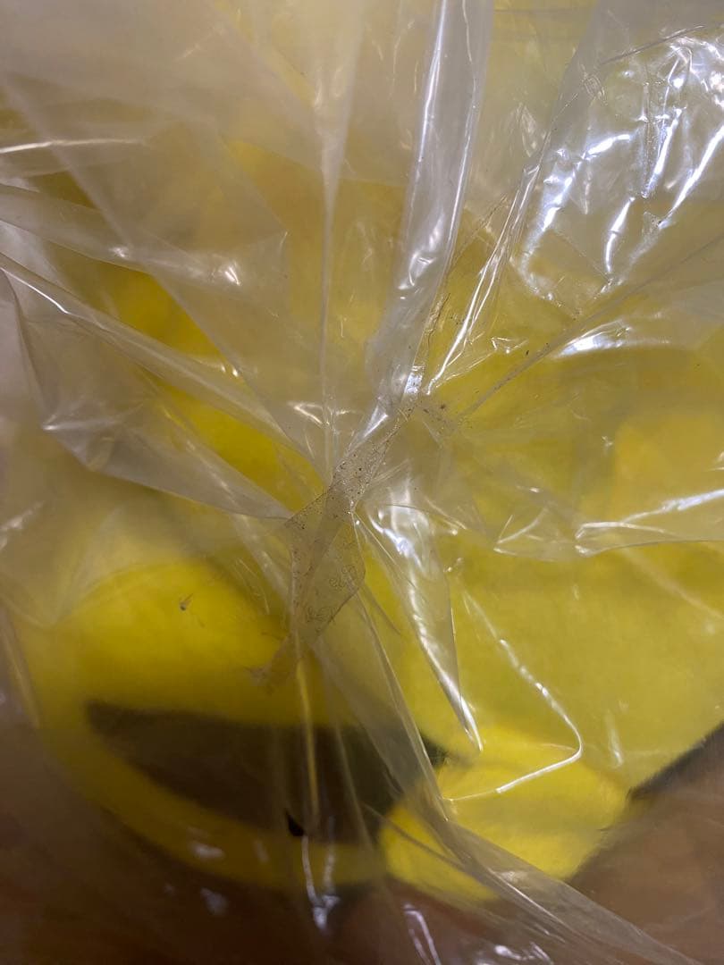 輸送袋未開封品】ポケモン ピカチュウ ぬいぐるみ 初期 TOMY1/1 等身大