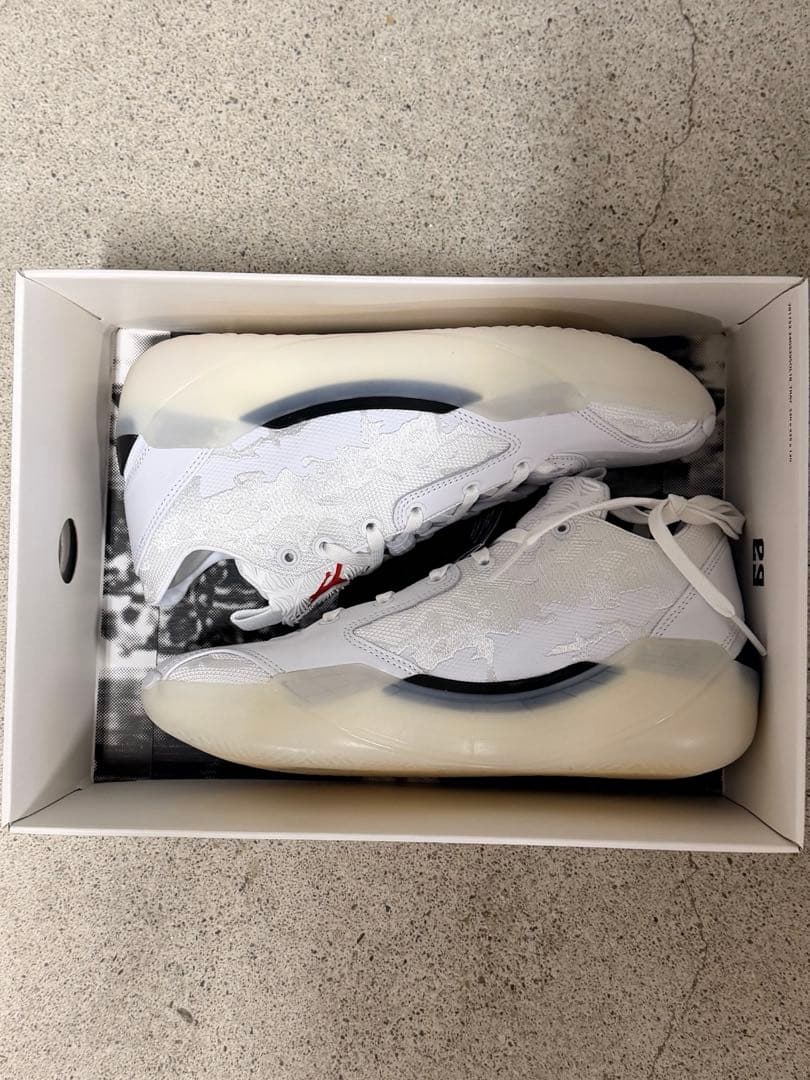 AIR JORDAN 39 sol ホワイト 27.5cm 白 ジョーダン39