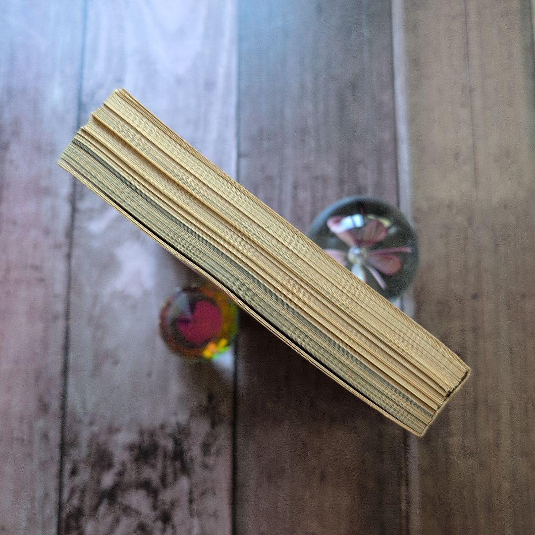 ミス・ペテン』鴨居羊子人形写真集 （撮影・細江英公）1966年