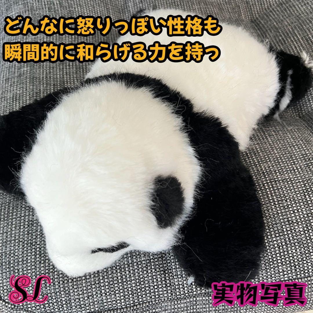 パンダ リアルぬいぐるみ 3ヶ月パンダ 高級ぬいぐるみ ファファ - メルカリ