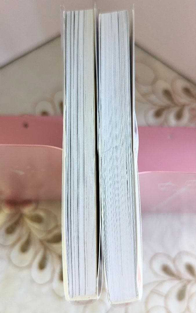 特典付 張公案 漫画版 簡体字版 1巻 2巻 君子盟 大風刮過 千二百 コミック